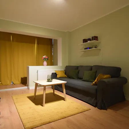 Apartment Stylish With Video Projector