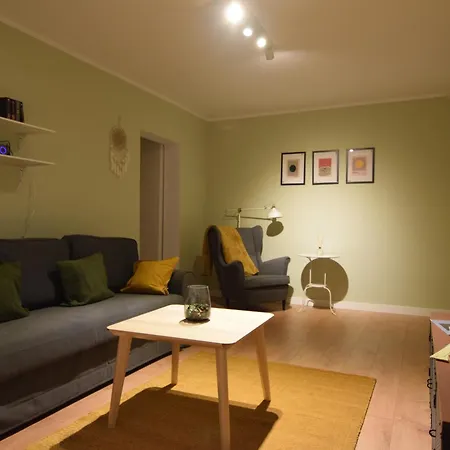 Stylish With Video Projector Apartment
