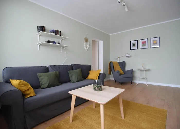 Stylish With Video Projector * 布加勒斯特