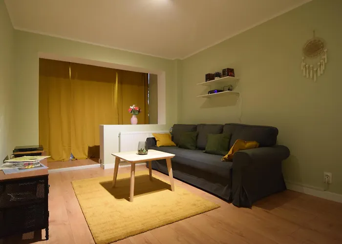 Apartment Stylish With Video Projector