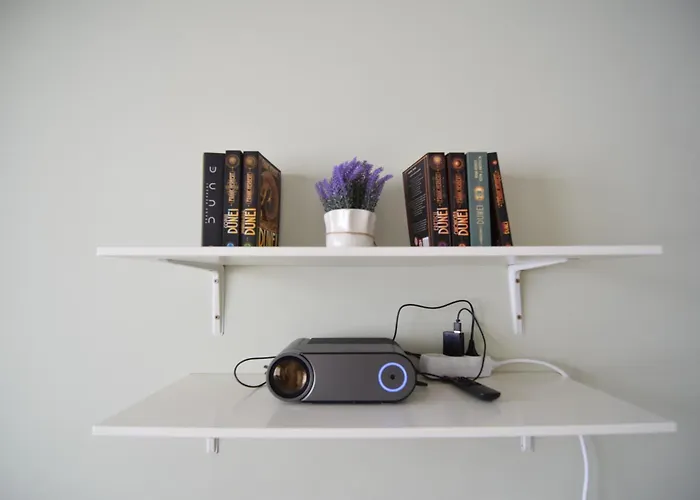 Stylish With Video Projector Apartment