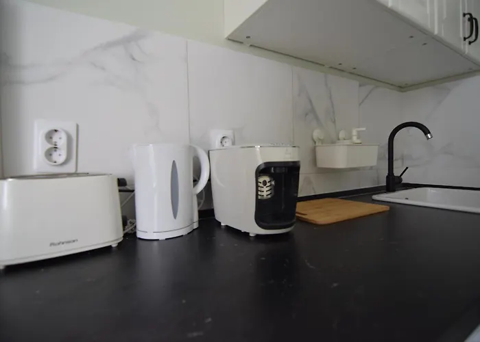 Stylish With Video Projector Apartment *
